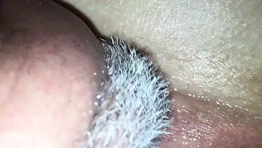 oynuyor ile benim hanımları KEDİ