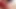 Very Excited Latin Mother, Sucking Her Sister's Husband's Cock, Wants Cumshots in Her Mouth