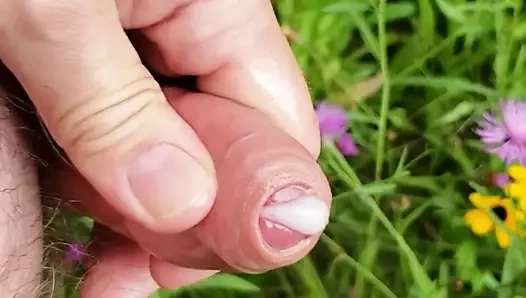 Orman ve su pisliği