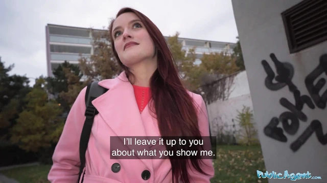 Public Agent - bekaretini almak ne kadara mal olacak?