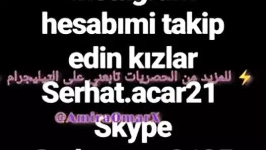 Arap mısır sharmota hayga