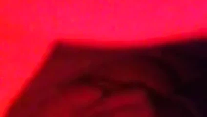 Amcık, göt, memeler