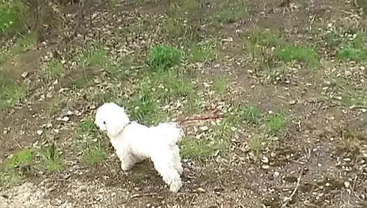 Genç sarışın ev hanımı amını siktiriyor ve sakso çekiyor