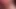 Cocoartist