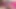Asyalı trans kız dildoyla kendini sikiyor ve boşalıyor