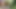 Amazon kabilesinden genç adamın Selva'da tanıştığı ilk adamla sikişmesi gerekiyor