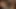 Deneyimli siyah modeller havuzun yanında birkaç siyah yarağı emerken mutlu