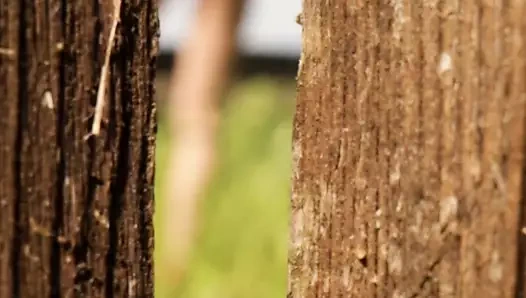 Yaz röntgenci mevsimidir