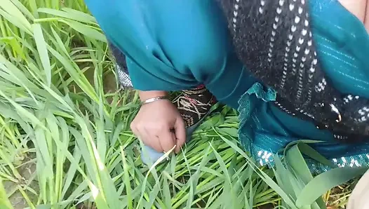 Sosyal deney xxx: rastgele adam açık havada amımı yalıyor