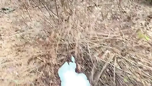 Ormanda Çok Havalı Işiyor