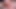 3D Futa on Futa Compilation