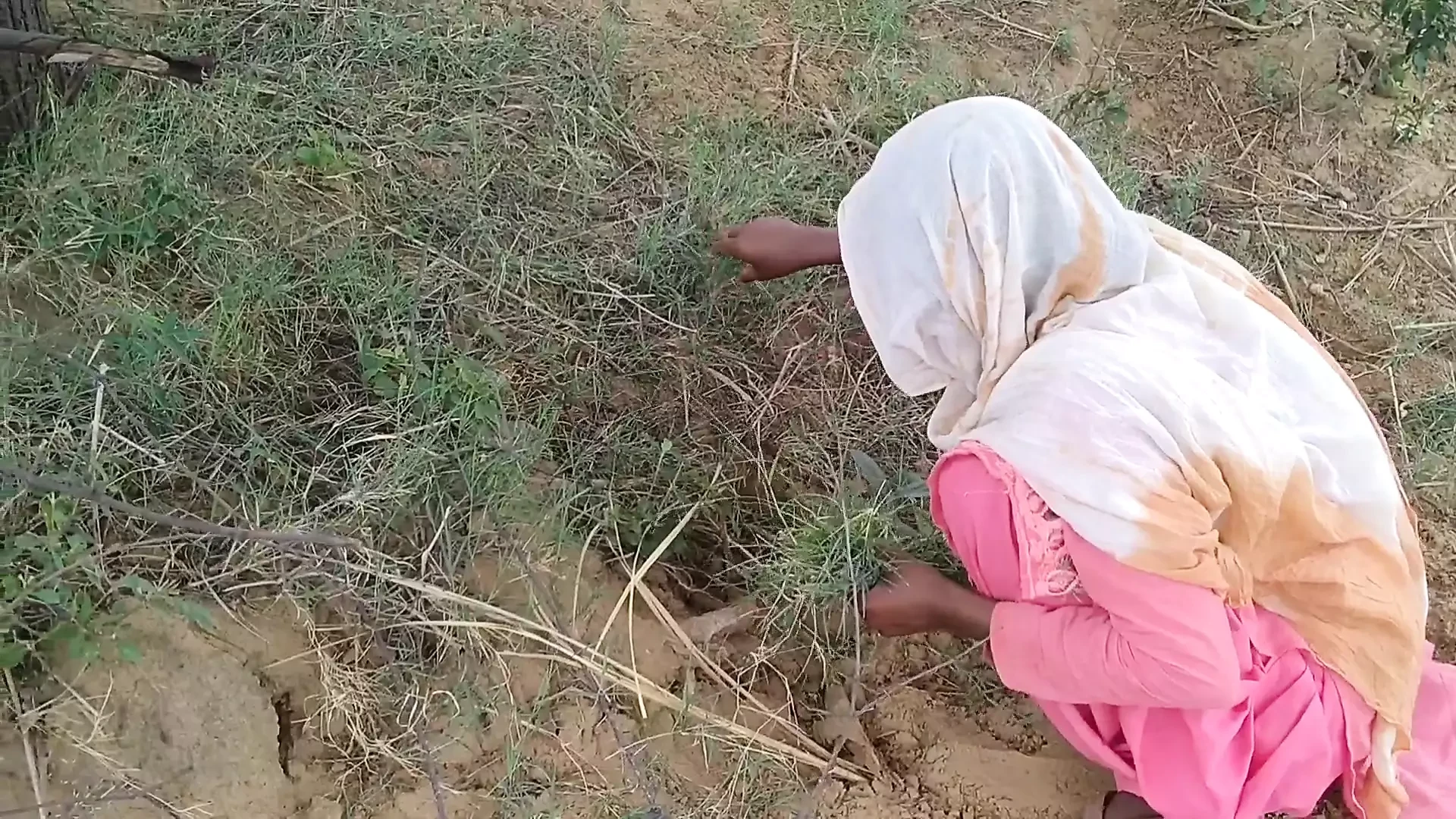 Desi jija sali best Indian webseries sex hot Hindi audio real