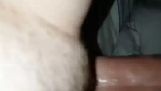 Cum üzerinde benim kedi