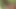 Lucy Thai anal seks ve çifte penetrasyon içeren açık havada üçlü grup seks fotoğraf çekimine katılıyor