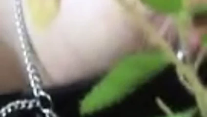 meme uçlarına ısırgan