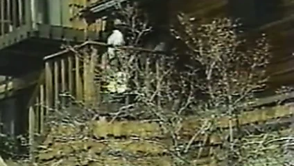 küçük jenny jones dp