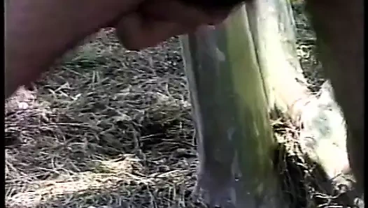 Sıcak gay dostum iyi bir lanet sonra sevgilisinin kıçına boşalan