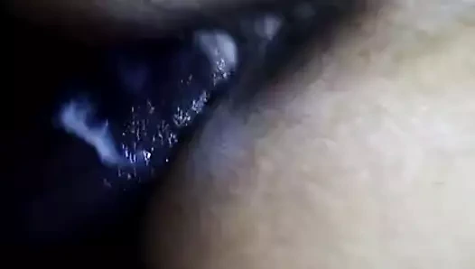 Islak kedi üzerinde bu çük