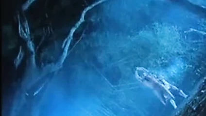 Çılgın kung fu seks