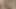 Halley Hill şehvetli bir kolej oral seksi için büyük sert bir yarağı kırbaçlıyor