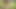 Jungle amazing nomita boudi açık havada açık ve yüzgeme