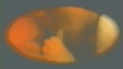 yalamak baba emmek ayı bölüm