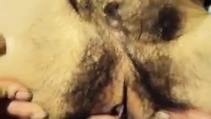 Çok kıllı uygun milf gets ona kedi rummaged