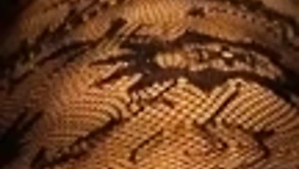 alt yumruklu ve yok köle's kıçını