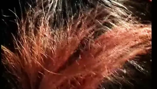 Kenya'dan tutkuyla!!!- vol. #08