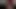 Sıkı küçük kedi
