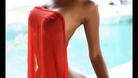 Kaybolan esmer şeker 1520