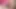 Orta yaşlı seksi kadın gırtlağına kadar yarak emiyor