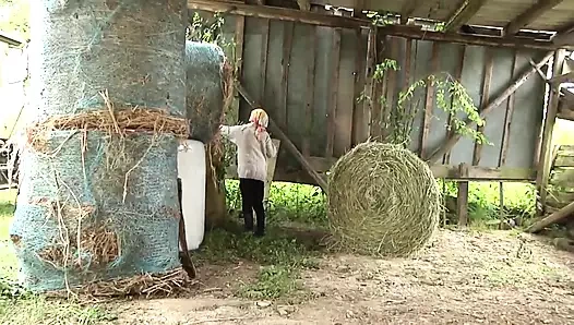Vahşi esmer arkadan büyük horoz alır