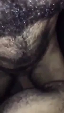 ayı çifti