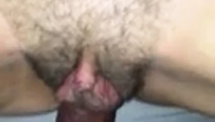 Doldurma hanımları kedi