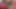 Yatak odasında minyon Asyalı orta yaşlı seksi kadın