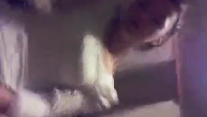 Moja devojcica '99 mi daje poklon za rodjendan 2