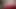 İki ateşli lezbiyenin kocaman poposu arasında taşan popo maması