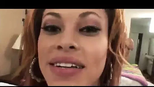 siyah civcivler üzerinde beyaz horoz