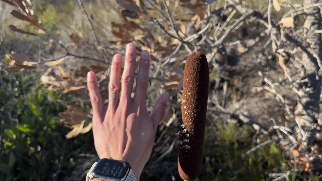 Ep 273. Bros cum at the same time. 🫂 Mission Complete.