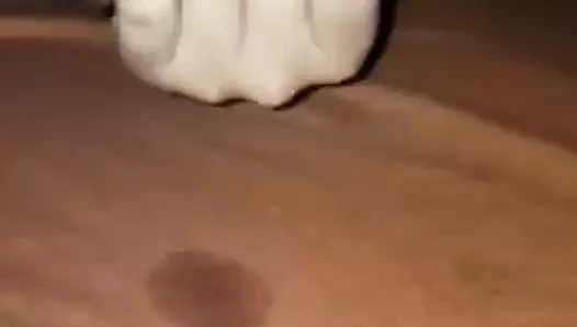 Orospu büyük siyah horoz boşalmak milf köle fışkırtma aldatmak delisi