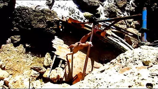 Asılmış ve kullanılmış