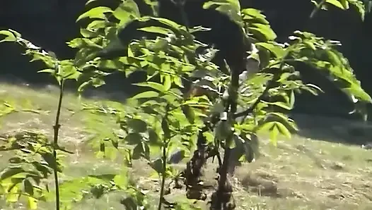Sarışın Sürtük Sert Sikiliyor - Sakso, Domaltma Ve Yüze Boşalma
