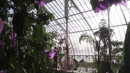 Vita ve virginia (2018) - lezbiyen sahne