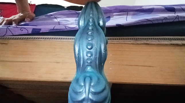 Anal Gece