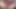 Seksi kız videoları geri döndürüyor