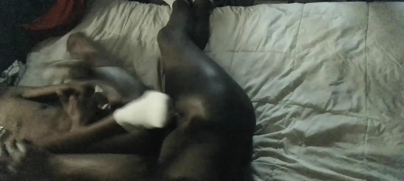 Dick Taking Goat