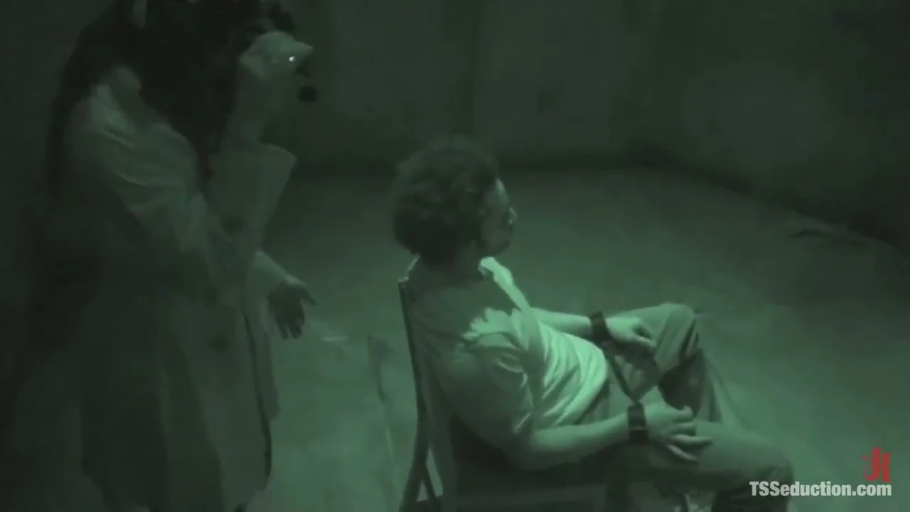 The Interrogation