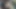 Dildo kızları birbirlerinin amını sikiyor