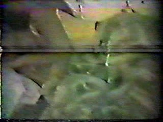 vivian velez skandalı